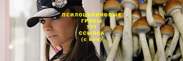 MESCALINE Кемь